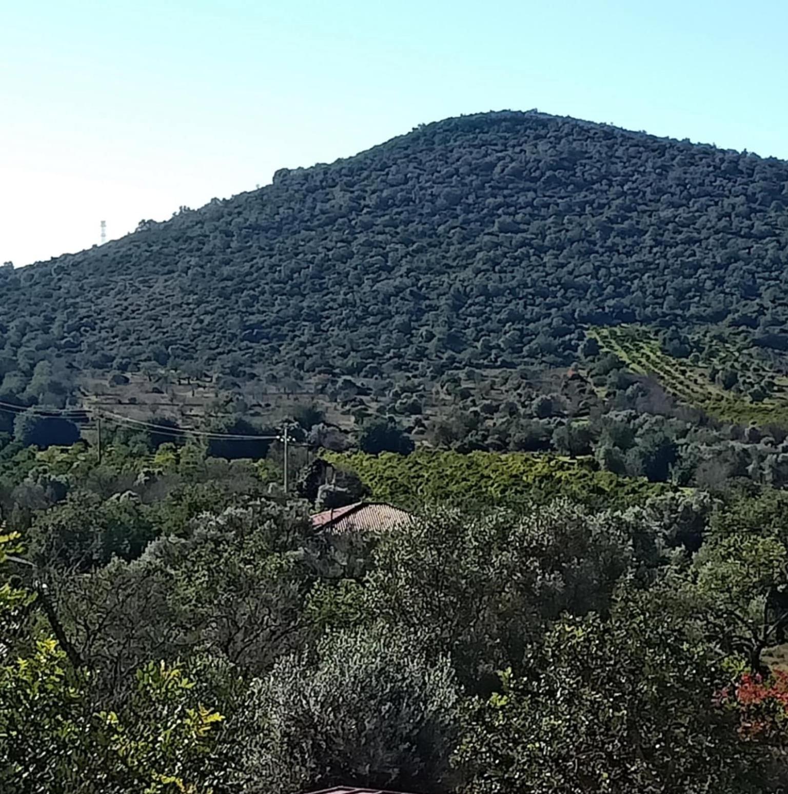 B&B Casa Flamenga Alte Luaran gambar